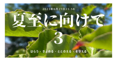 夏至に向けて　３