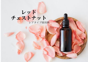 新発見！レッドチェストナットの底力✨