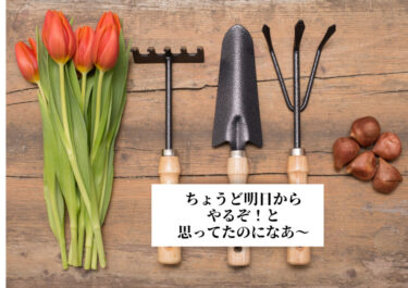 あまのじゃく　秋土用