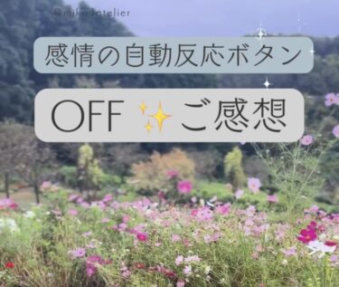 ご感想〜 感情の自動反応ボタン
