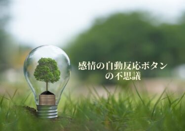 感情の自動反応ボタンの不思議