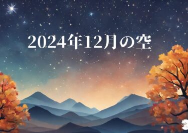 2024年12月のソラ